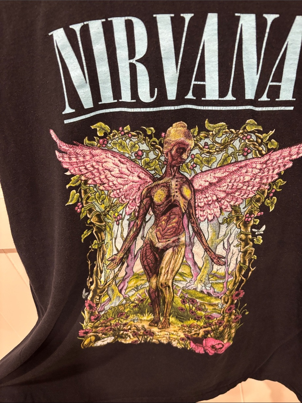 Nirvana - Picture 2 of 2